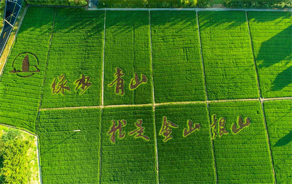 55世纪-购彩大厅welcome(中国游)官方网站