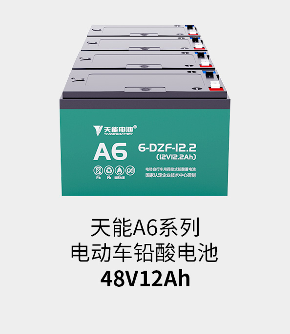 55世纪电池48v12ah
