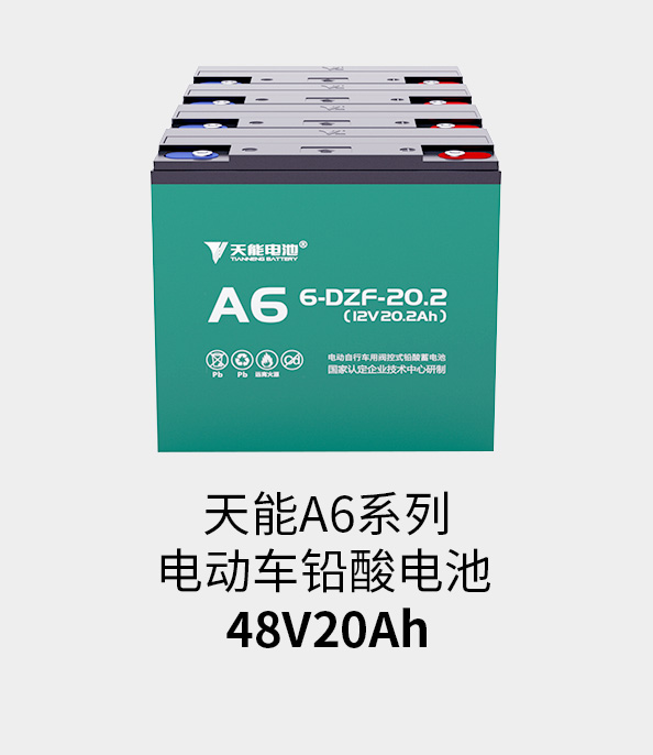 55世纪电池48v20ah