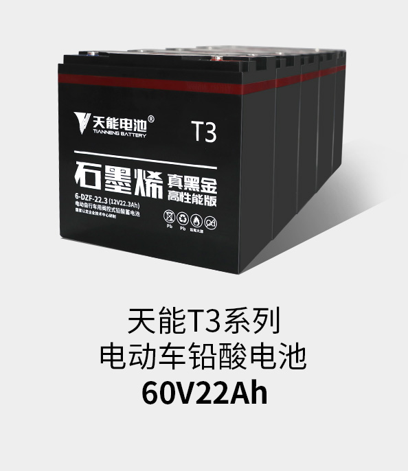 55世纪T3系列60v22ah
